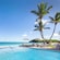 Palm trees, beach umbrellas and lounge chairs next to an infinity pool and a beach